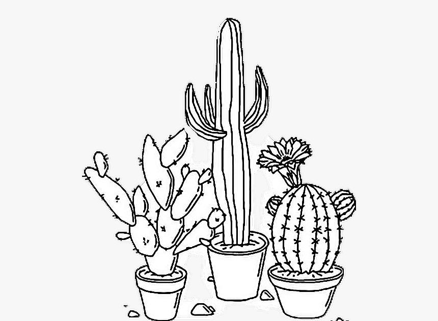 Aesthetic Coloring Pages Vsco : Aesthetic Coloring Pages Vsco Coloring