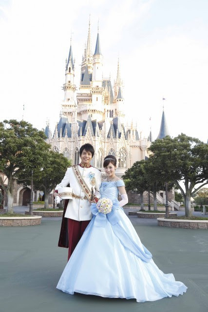 すべてのイラスト画像 エレガントディズニー 結婚式 費用 シンデレラ城