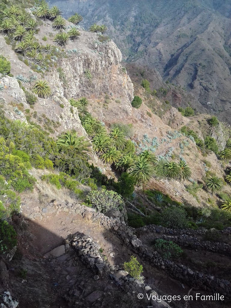 La Gomera, sentier El Cabrito