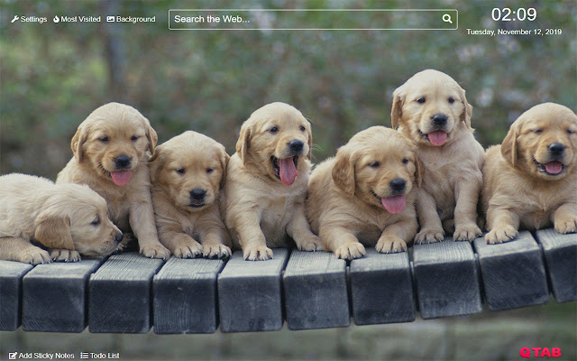 Puppy Wallpapers Puppy New Tab HD