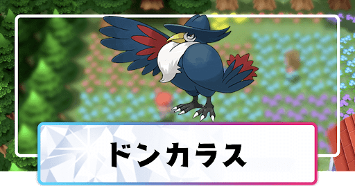 ポケモンダイパリメイク ドンカラスの進化と覚えるわざ 入手方法 sp 神ゲー攻略