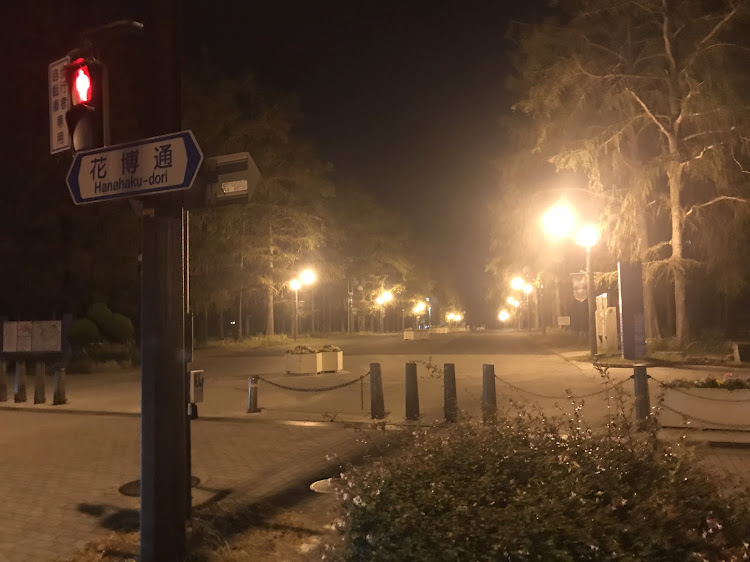 アルファードの洗車に関するカスタム事例の投稿画像5枚目