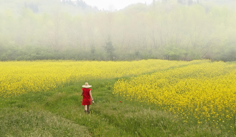 Ragazza in rosso sulla via di campagna di Patrix