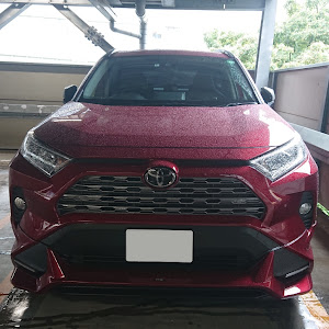 RAV4 MXAA54