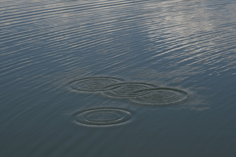 I CERCHI DEL LAGO  di CristianPh