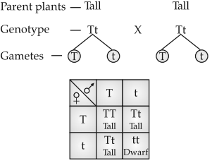 Solution Image