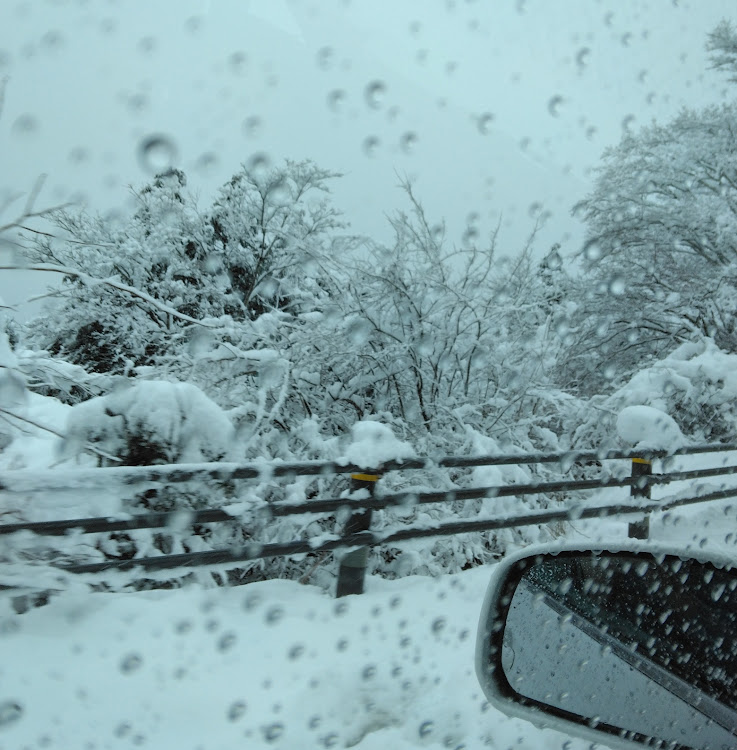 ティーダラティオの三国峠・雪道・スタック・ジムニーにしとけばよかった説に関するカスタム事例の投稿画像2枚目