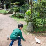 【羊世界教學休閒牧場】勇伯台灣羊庭園餐廳