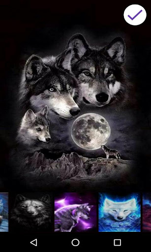 Wolf Lock screen Passcode, Neon Wolf HD Wallpaper
