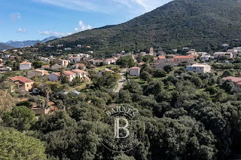 terrain à batir à Calvi (2B)