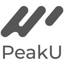 PeakU Leads - match only the best