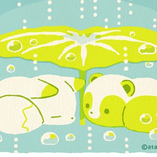 🕊タヌキとキツネ🍄𓈒𓏸
