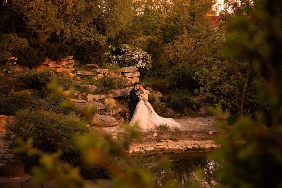 Fotógrafo de casamento Sergey Yakovlev (sergeyprofoto). Foto de 22 de novembro 2018