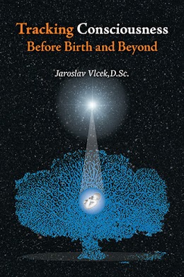 Tracking Consciousness Before Birth and Beyond cover