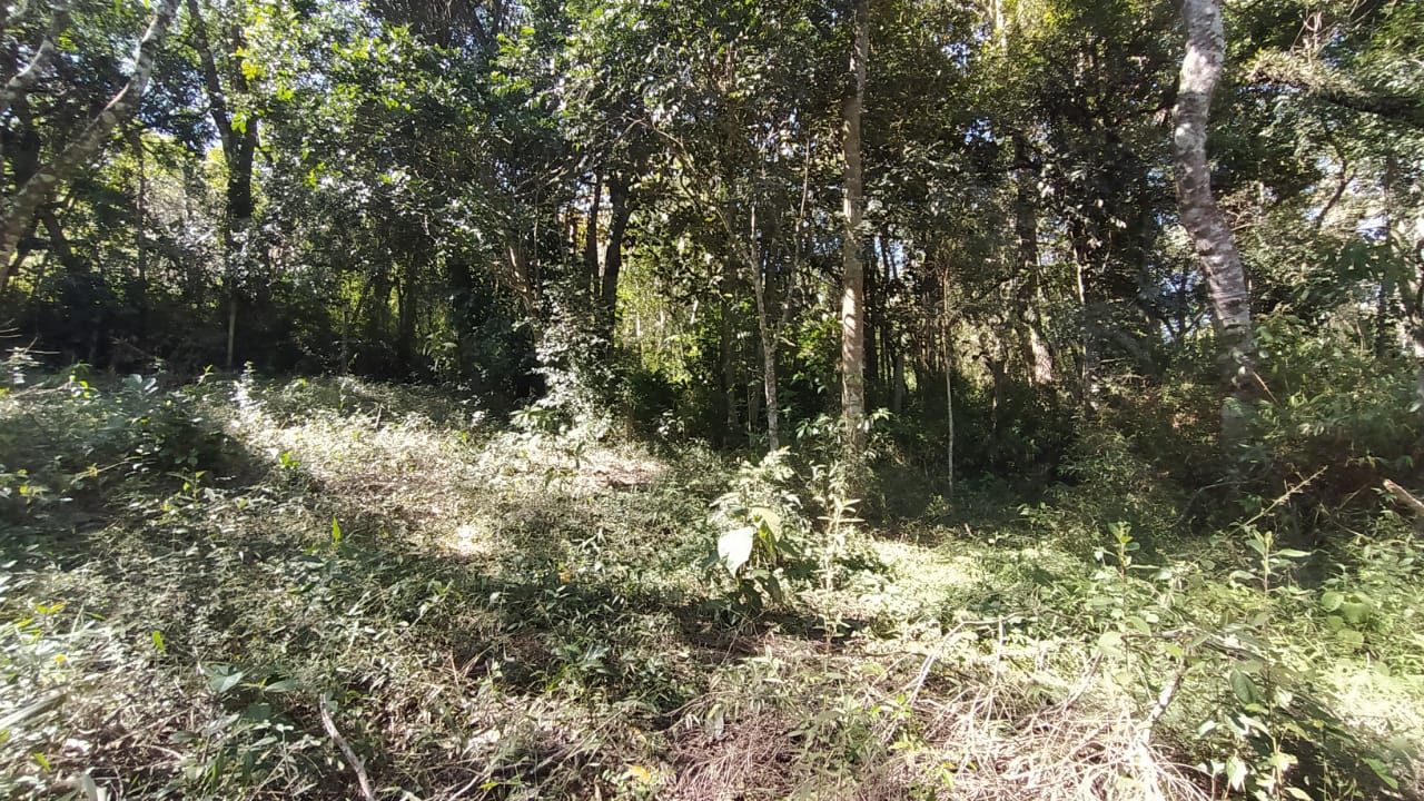 Terrenos à venda Jardim Monte Verde (Caucaia do Alto)