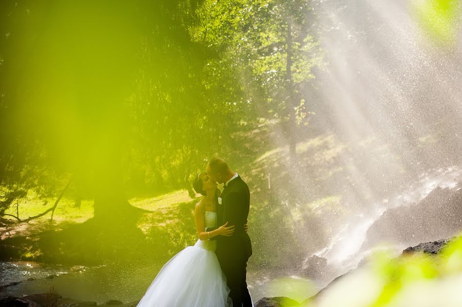 Fotografo di matrimoni Catherine Roujean (roujean). Foto del 13 luglio 2016