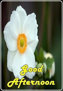 Good Afternoon Wishes(圖6)-速報App