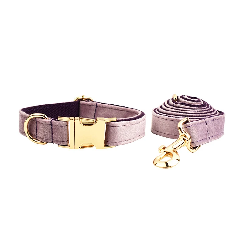 Collier en velours pour animaux de compagnie avec laisse de traction, doux et élégant, pour un contrôle sûr et confortable lors des promenades.
