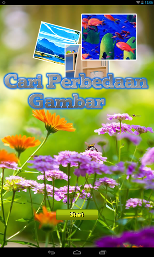 Cari Perbedaan Gambar