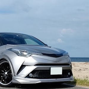 C-HR NGX50