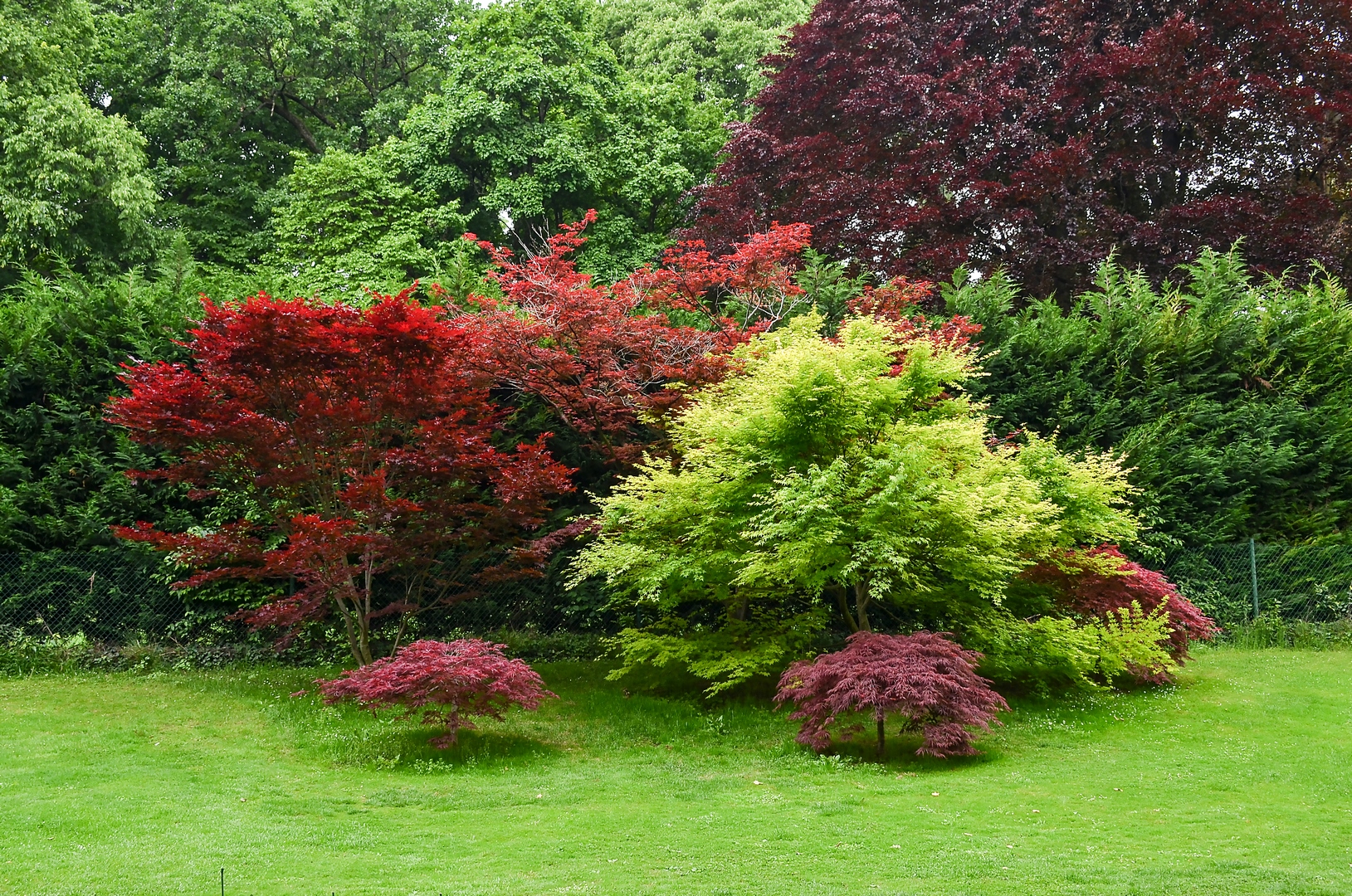 Verde, rosso... alto, basso di Wilmanna