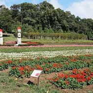 大溪花海農場