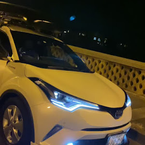 C-HR ZYX10