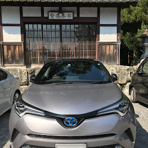 C-HR ZYX10