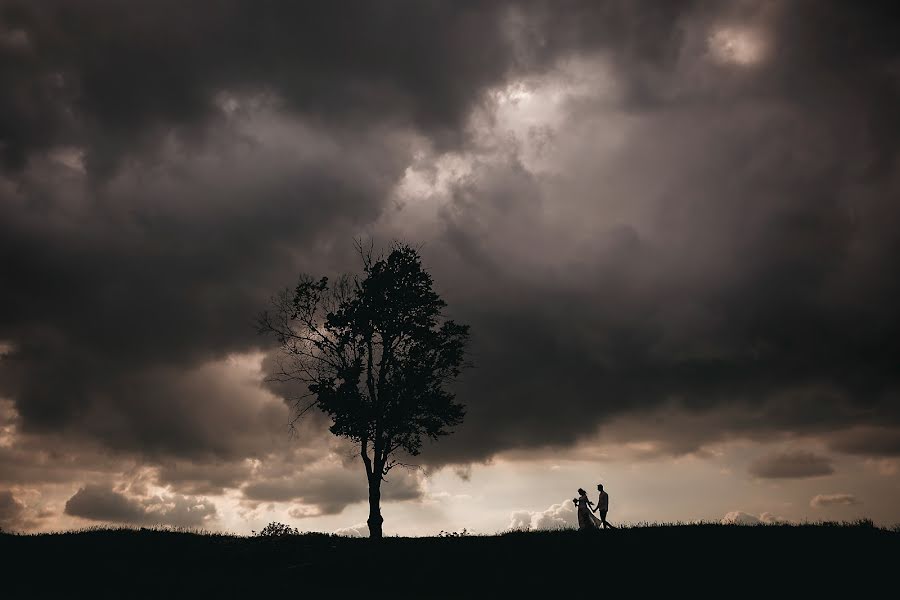 Bryllupsfotograf Aleksandr Lesnichiy (lisnichiy). Bilde av 1 juli 2019