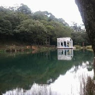 蓮雨居創意料理