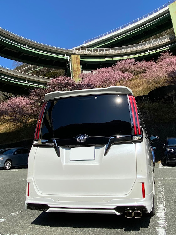 エスクァイアの左斜め前写真展・ポートレート撮影・河津桜・ループ橋・祝！100投稿♪に関するカスタム事例の投稿画像3枚目