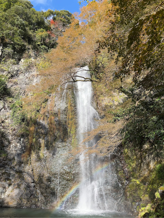 の投稿画像8枚目