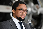 Public enterprises director-general Kgathatso Tlhakudi has been suspended. File photo.