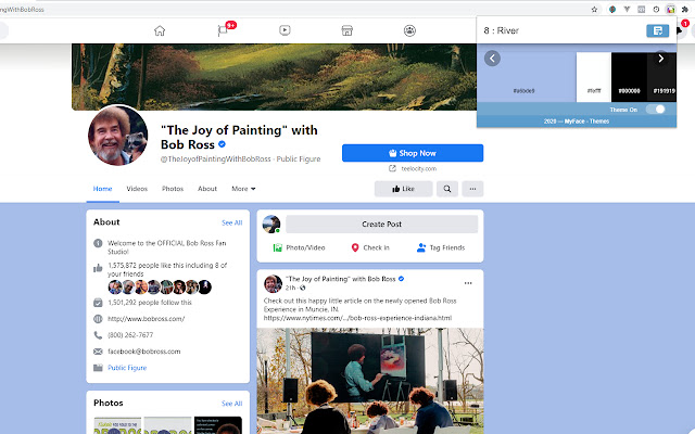 MyFace - Themes for Facebook™ chrome extension