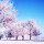 Winter Wallpapers Theme New Tab