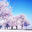 Winter Wallpapers Theme New Tab