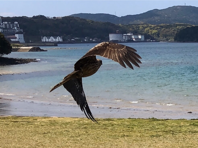 の投稿画像20枚目