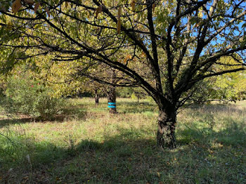 terrain à Pignans (83)