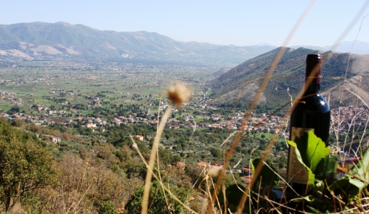 IL VALLO VISTO CON UN BICCHIER DI VINO di D'ALESSIO