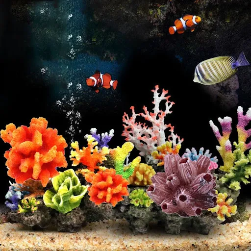 images slider number - 1