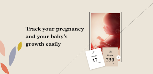 Pregnancy App, Baby Tracker