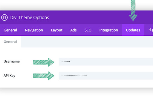 Guide how to update Divi Theme