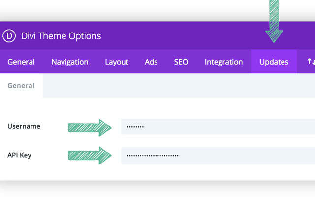 Guide how to update Divi Theme Preview image 0