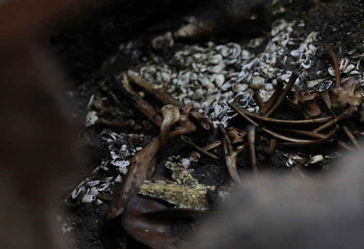 A general view of a ritual Aztec offering found in the exact center of what was an important ceremonial circular platform, believed to be associated with the Aztec patron deity Huitzilopochtli, discovered just off the steps of the Templo Mayor, the Aztec empire’s most sacred temple, in Mexico City, Mexico November 15 , 2022.