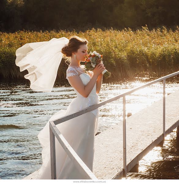 Wedding photographer Aleksandr Shtabovenko (stalkeralex). Photo of 24 December 2015