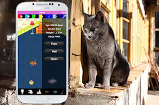 Cat Care Virtual Petのおすすめ画像4