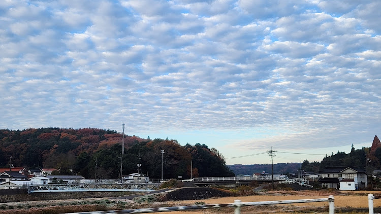 Motoki.5さんが投稿したトップスタイル杯・広島県・世羅グリーンパーク弘楽園・新型ALPHARD・RK5に関するカスタム事例の投稿画像21枚目