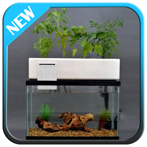 Aquaponics Design Ideas  Icon