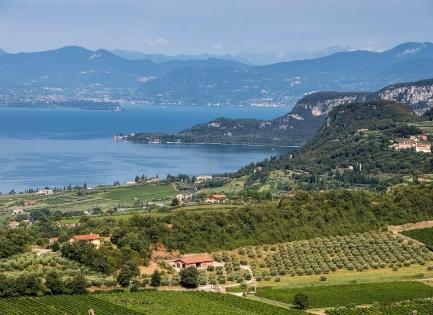 Nasce il Cammino del Bardolino: 100 km tra i vigneti - Gambero Rosso