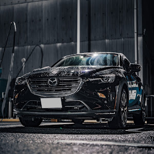 CX-3 DK8FW